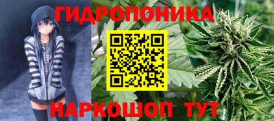 дурь Кулебаки