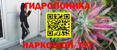 дурь Кулебаки