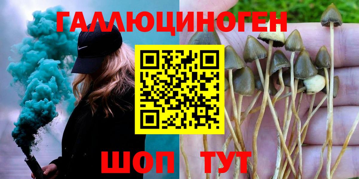 Псилоцибиновые грибы GOLDEN TEACHER  Вход с VPN  Волжск 